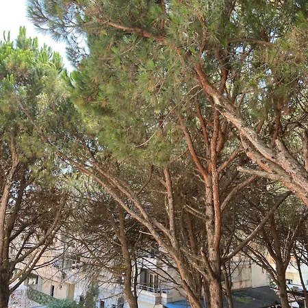 Fc Apartament Apartment Golem (Tirana)